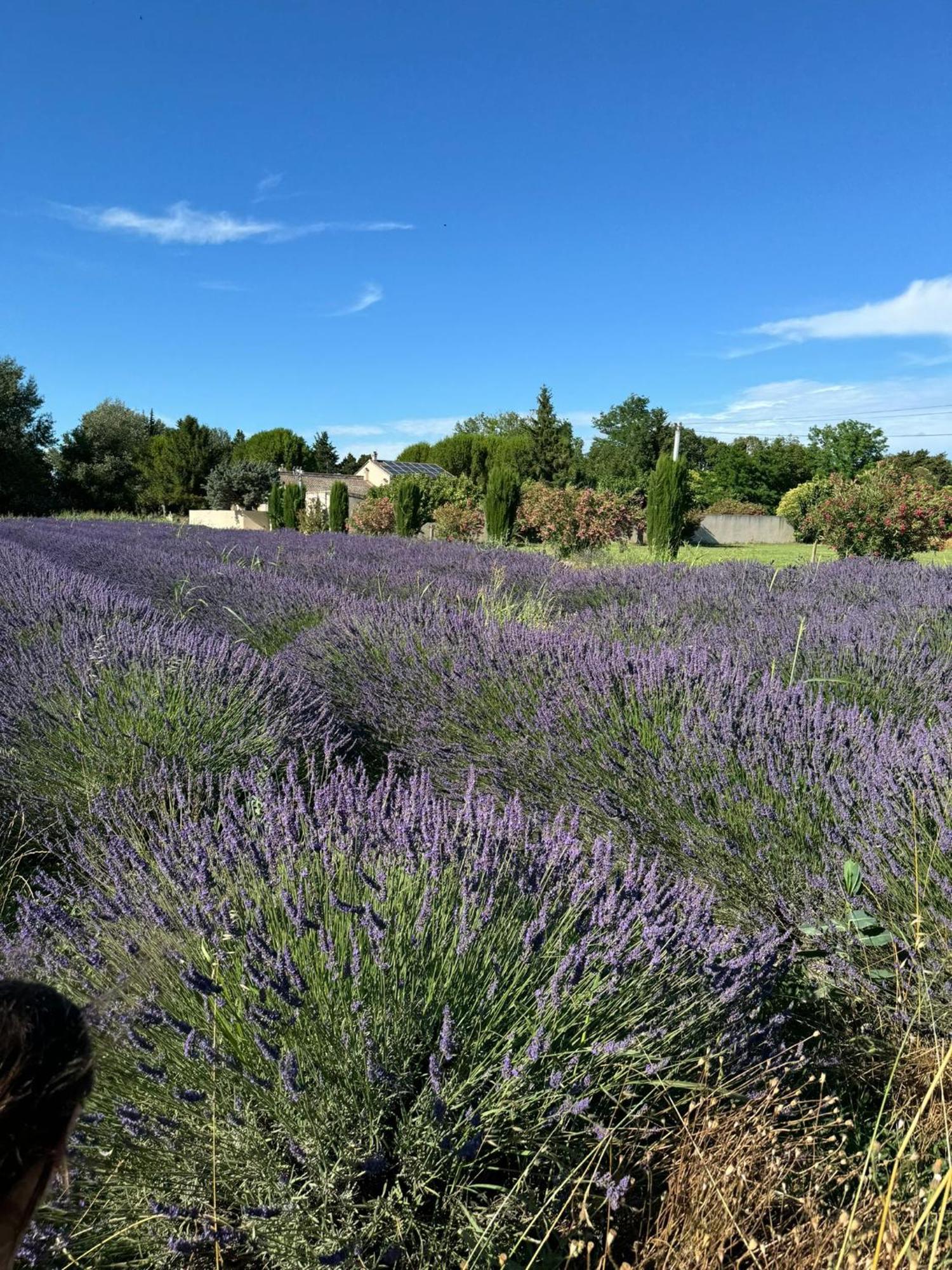 Appartement Neuf Et Au Calme Proche Avignon Althen-des-Paluds Екстериор снимка